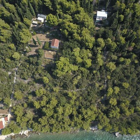 Apartmani Nena Slano Zewnętrze zdjęcie